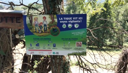 Randonner sur les chemins de notre commune