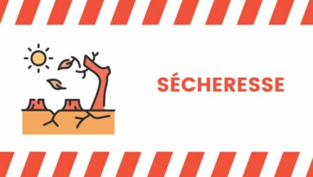 SECHERESSE VIGILANCE ROUGE
